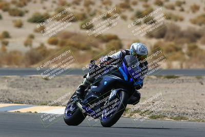 media/Apr-10-2022-SoCal Trackdays (Sun) [[f104b12566]]/Turn 5 Tree of Life (1040am)/